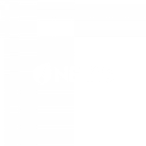 Netas Logo