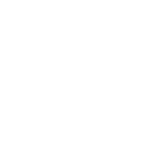 endometriosis foundation